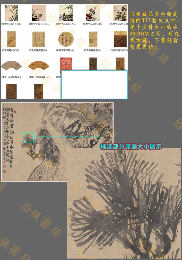 1718849151551231.jpg 详情-05.jpg